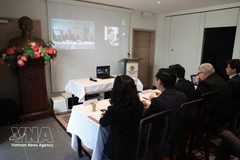 Representantes de ministros y sectores relativos de Vietnam también asisten al seminario en línea. (Foto: VNA)