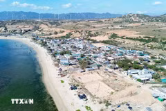 El proyecto de la Planta de Energía Nuclear Ninh Thuan 1 está planificado para construirse en la provincia de Khanh Hoa. (Foto: VNA)