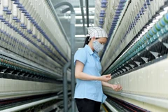 El banco singapurense United Overseas Bank (UOB) elevó su previsión de crecimiento del Producto Interno Bruto (PIB) de Vietnam para 2025 hasta un 7,5%, desde el 6,9% estimado previamente. (Foto: Vietnam+)