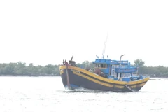 Ciudad Ho Chi Minh logra el 100% de licencias para su flota pesquera. Foto ilustrativa (Fuente: VNA)