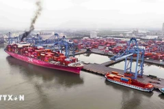 Puerto marítimo internacional Cai Mep - Thi Vai (Foto: VNA)