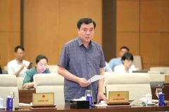 El viceministro de Industria y Comercio Nguyen Sinh Nhat Tan en la reunión. (Foto: VNA)