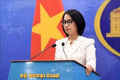 La portavoz del Ministerio de Relaciones Exteriores, Pham Thu Hang. (Foto: VNA)
