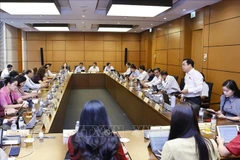 Diputados debaten en grupos. (Foto: VNA)