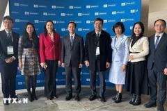 La delegación vietnamita participa en la reunión 222 de a UNESCO. (Foto: VNA) 
