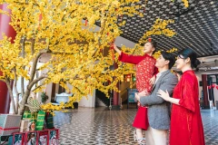 Da Nang prepara festival multitudinario para recibir 2026. (Foto: VNA)