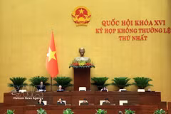La Asamblea Nacional de Vietnam debate un proyecto de ley destinado a prevenir la proliferación de armas nucleares, químicas y biológicas y reforzar la seguridad nacional. (Foto: VNA)