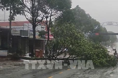 Tifón Kalmaegi deja 5 muertos y daños en Vietnam