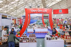 Cultura y productos de la Altiplanicie Occidental enriquecen experiencia de visitantes en Feria de Primavera 2026 (Foto: VNA)