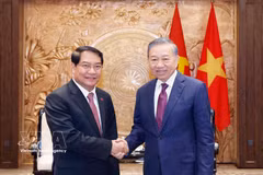 El secretario general del Partido Comunista y presidente de Vietnam, To Lam, (derecha) recibe a Athsaphangthong Siphandone, secretario del Comité del Partido y presidente del Consejo Popular de Vientiane. (Foto: VNA) 
