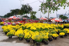 Mercado de flores de primavera Binh Dien 2026: Un evento inolvidable para el Tet (Foto: VNA)