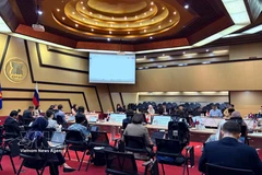 La 24ª reunión del Comité Conjunto de Cooperación ASEAN–Rusia. (Foto: VNA)