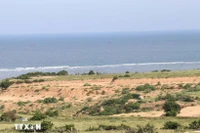 Vietnam ha dado grandes pasos para reactivar y acelerar el proyecto de la Central Nuclear de Ninh Thuan. (Foto: VNA)