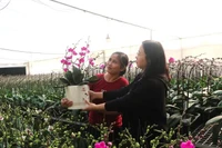 Vietnam se encuentra en plena celebración por el final de 2025 (Foto: VNA)