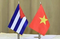 Foto de ilustración (Foto: VNA)