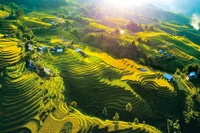 Las terrazas del arroz en Sapa