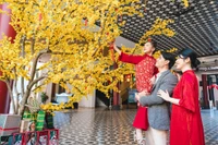 Da Nang prepara festival multitudinario para recibir 2026. (Foto: VNA)