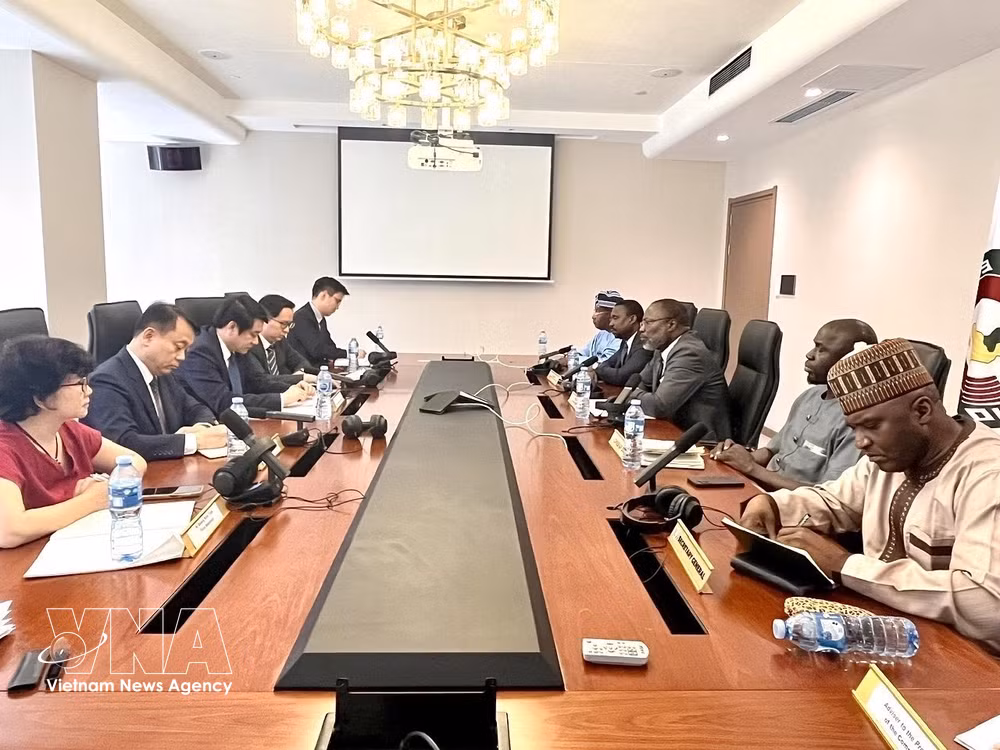 vnanet-potal-thu-truong-bo-ngoai-giao-le-anh-tuan-tham-va-lam-viec-tai-nigeria-8860995.jpg