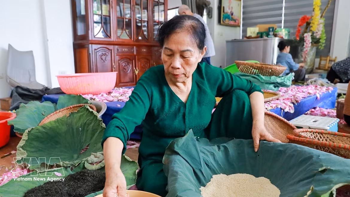 Té de loto de Quang An, una joya del patrimonio gastronómico de Hanoi 