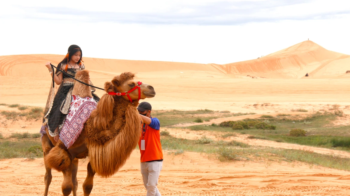 Despliegan planificación de zona turística de Mui Ne 