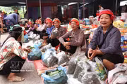 Mercado semanal único de minorías éticas en provincia de Tuyen Quang 