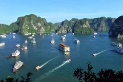 Un rincón de la bahía de Ha Long. (Fuente: VNA)