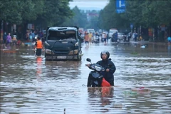 Una carretera en el barrio de Quang Vinh (Thai Nguyen) se inundó profundamente el 11 de septiembre de 2025. (Fuente: VNA)
