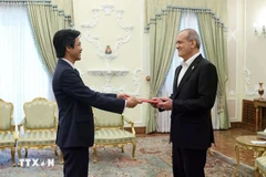 El embajador de Vietnam en Irán, Nguyen Luong Ngoc, entrega sus cartas credenciales al presidente anfitrión, Masoud Pezeshkian. (Fuente: VNA)