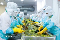Azerbaiyán está particularmente interesado en la industria de procesamiento agrícola de Vietnam. (Foto: VNA)