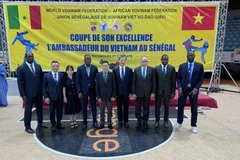 Delegados en la apertura de la final de la Copa Anual de Embajadores. (Fuente: VNA)