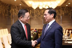 El vicepremier y canciller vietnamita, Bui Thanh Son, se reúne con el secretario general de la ASEAN, Kao Kim Hourn. (Fuente: VNA)