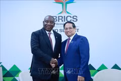 El primer ministro de Vietnam, Pham Minh Chinh, se reunió con el presidente sudafricano, Cyril Ramaphosa. (Fuente: VNA)