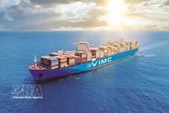 Foto de ilustración. (Fuente: VNA)