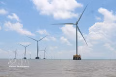 El proyecto de la central eólica de Tan Thuan (comuna de Tan Thuan, provincia de Ca Mau), fases 1 y 2, tiene una capacidad total de 75 MW y consta de 18 aerogeneradores. (Fuente: VNA)