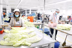 El ambiente laboral en la empresa textil Hung Viet en la provincia de Hung Yen. (Fuente: VNA)