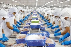 BM augura un crecimiento económico positivo para Vietnam en 2025