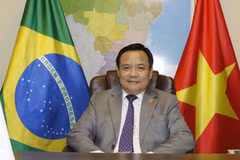 El embajador vietnamita en Brasil, Bui Van Nghi. (Fuente: Embajada)