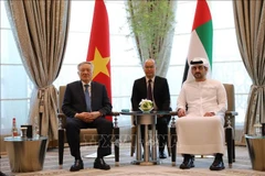 El viceprimer ministro permanente vietnamita Nguyen Hoa Binh sostuvo conversaciones con el subjefe del Gobierno y titular de Finanzas de los Emiratos Árabes Unidos (EAU), Maktoum bin Mohammed bin Rashid Al Maktoum. (Fuente: VNA)