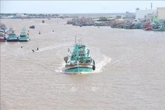 Barcos pesqueros entrando y saliendo del estuario del río Doc, provincia de Ca Mau. (Foto: VNA)