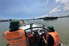 Da Nang impulsa fuertemente lucha contra pesca ilegal