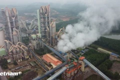 La adaptación climática es clave para reducir los riesgos que las crisis climáticas suponen para la agricultura, las empresas y la infraestructura de producción en Vietnam. (Foto: VNA)