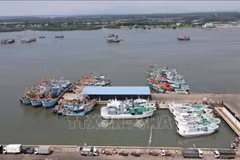 Puerto pesquero de Cat Lo, barrio de Phuoc Thang, Ciudad Ho Chi Minh. (Foto: VNA)