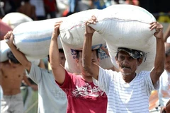 Foto de ilustración. (Fuente: AFP/VNA)