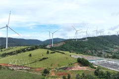  La energía limpia es uno de los sectores en los que Vietnam puede priorizar la cooperación con Canadá. (Foto: VNA)