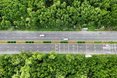 Belleza de carretera a través del bosque de manglares en Ciudad Ho Chi Minh