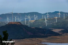Vietnam avanza hacia la implementación de su mercado de carbono