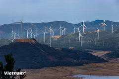 Vietnam avanza hacia la implementación de su mercado de carbono