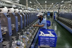 Foto de ilustración. (Fuente: VNA)