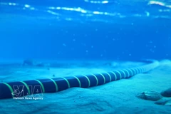 Foto de ilustración. (Fuente: VNA)