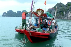 La Estación de Guardia Fronteriza del Puerto de Hon Gai realiza la labor de inspección. (Fuente: Internet)